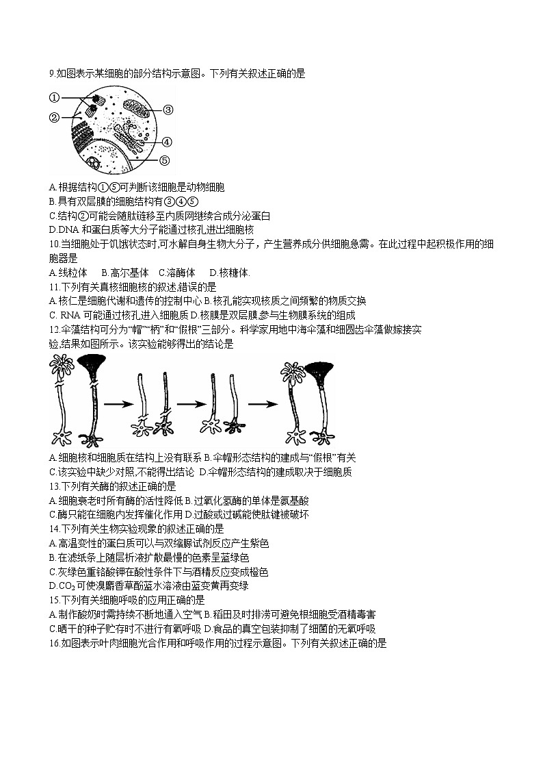 2022-2023学年黑龙江省牡丹江市第二高级中学高三上学期第二次阶段测试-生物（Word版）02