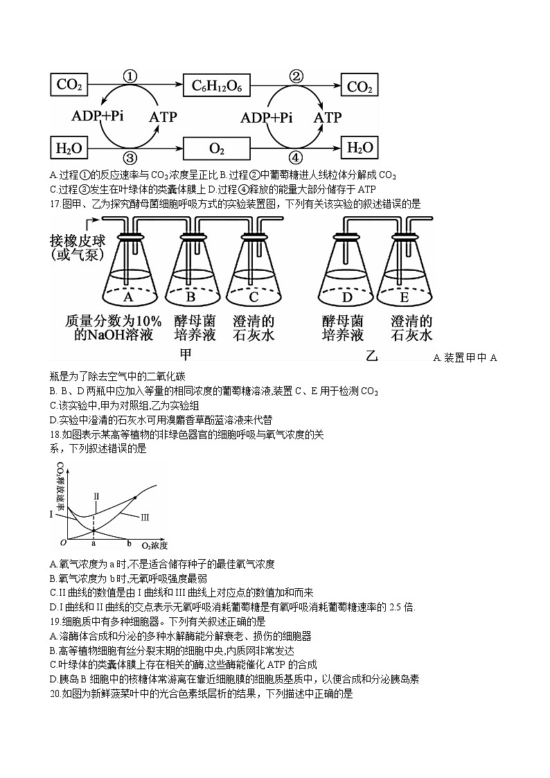 2022-2023学年黑龙江省牡丹江市第二高级中学高三上学期第二次阶段测试-生物（Word版）03