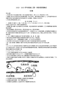 2023届黑龙江省牡丹江市第二高级中学高三上学期第一次阶段测试-生物（word版）