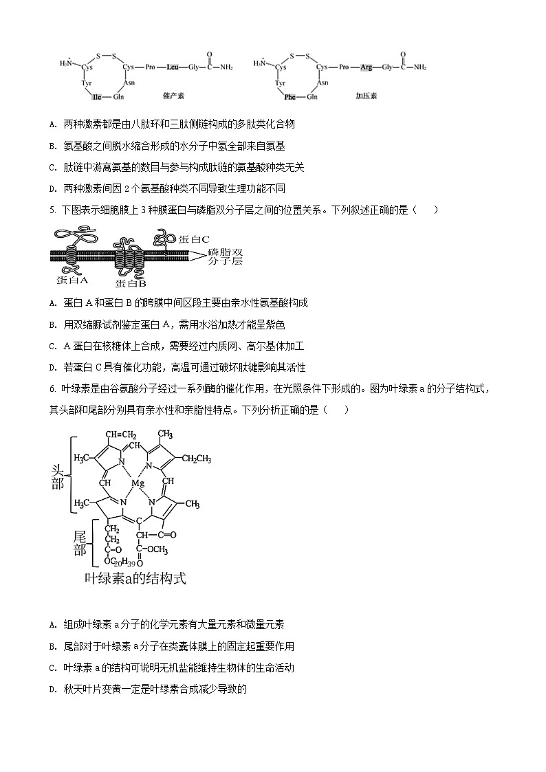 2022天津和平区一中高三上学期第一次月考生物试题含答案02