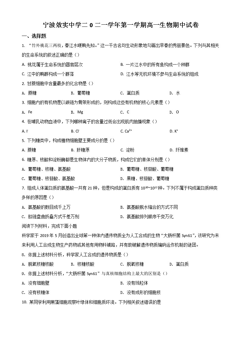 2022宁波效实中学高一上学期期中考试生物试题含答案01