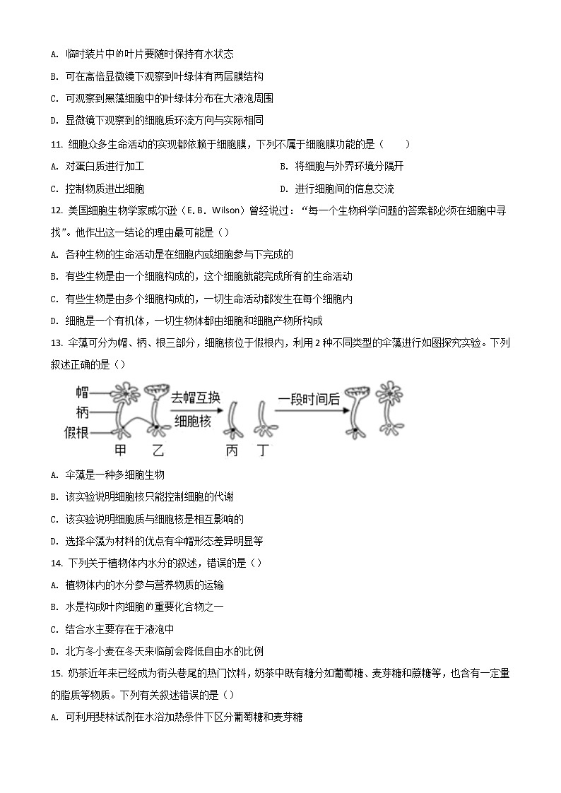 2022宁波效实中学高一上学期期中考试生物试题含答案02