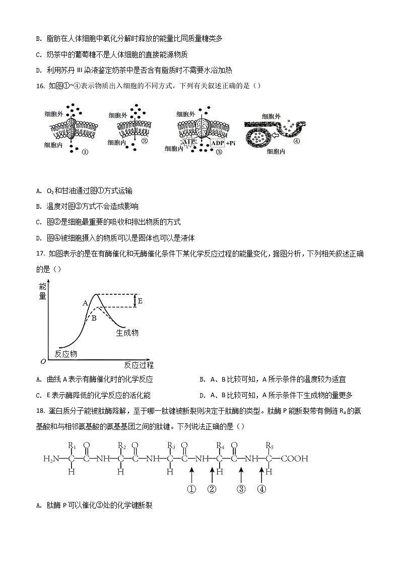 2022宁波效实中学高一上学期期中考试生物试题含答案03