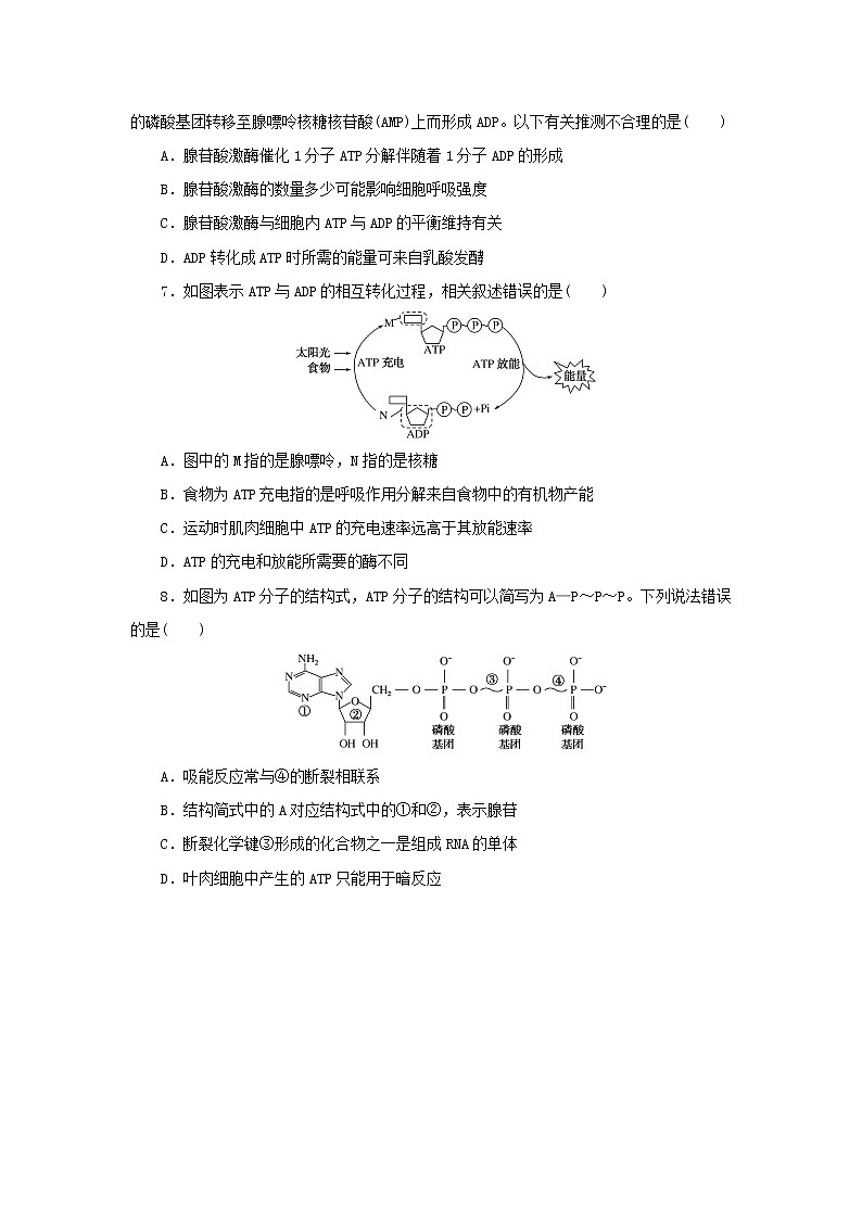 2023版高考生物第一部分专题练专练18细胞的能量“通货”__ATP第2页