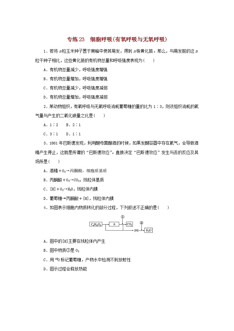 2023版高考生物第一部分专题练专练23细胞呼吸有氧呼吸与无氧呼吸01
