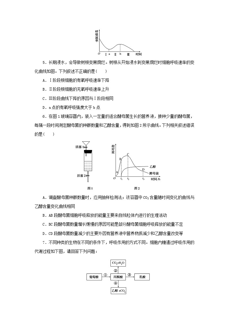 2023版高考生物第一部分专题练专练23细胞呼吸有氧呼吸与无氧呼吸02