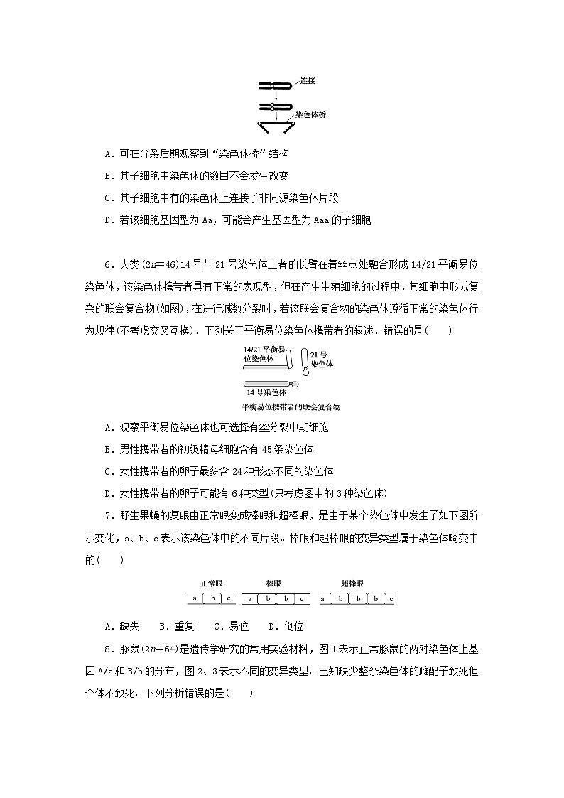 2023版高考生物第一部分专题练专练47染色体变异第2页