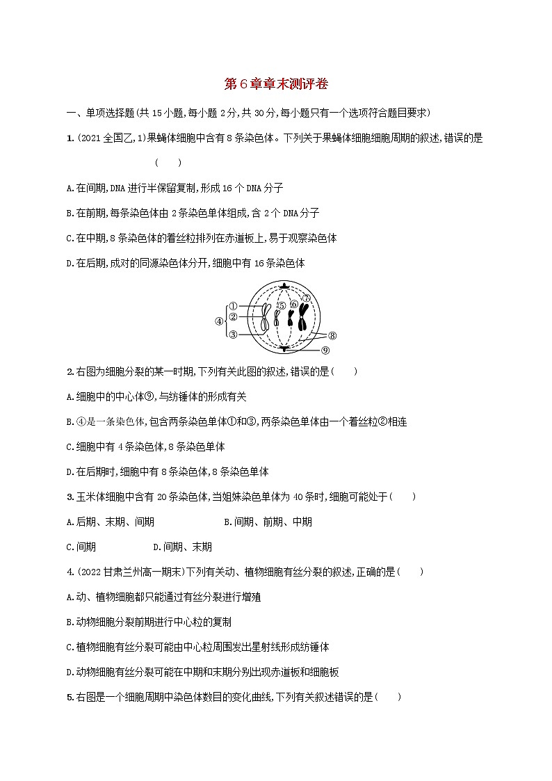 2022_2023学年新教材高中生物新人教版必修1第6章细胞的生命历程章末测评卷第1页