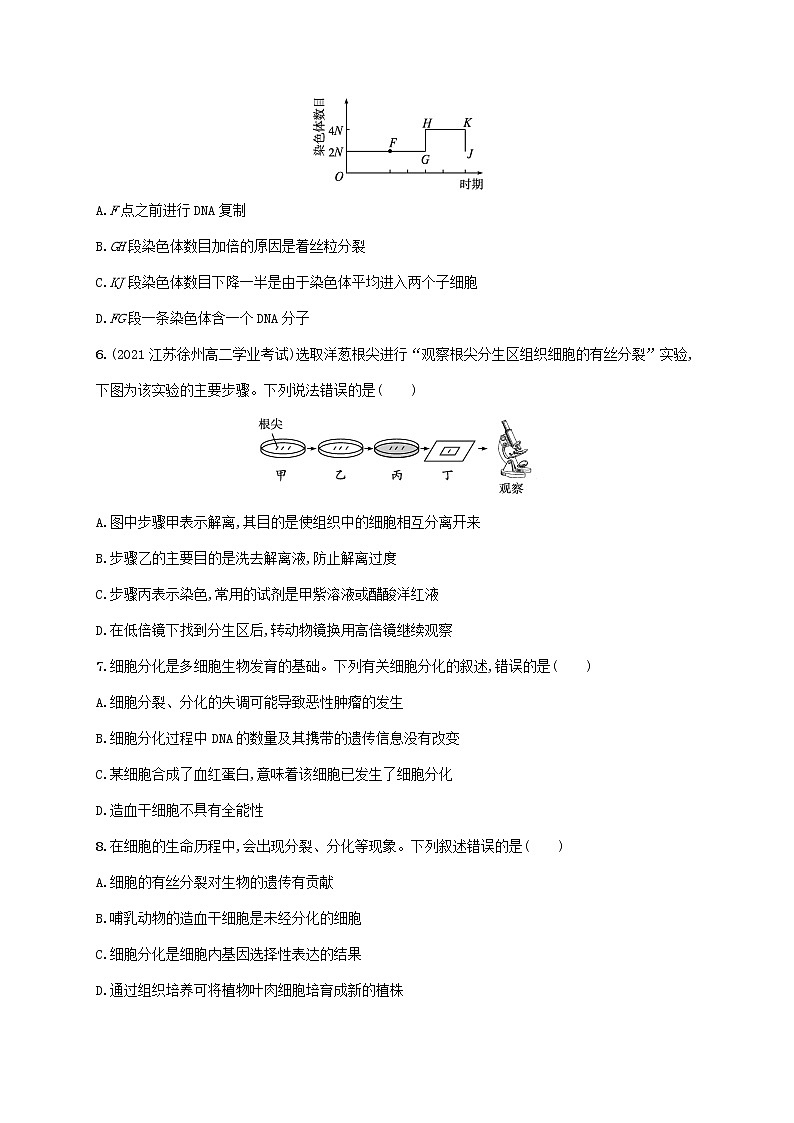 2022_2023学年新教材高中生物新人教版必修1第6章细胞的生命历程章末测评卷第2页
