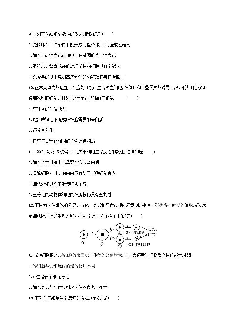 2022_2023学年新教材高中生物新人教版必修1第6章细胞的生命历程章末测评卷第3页