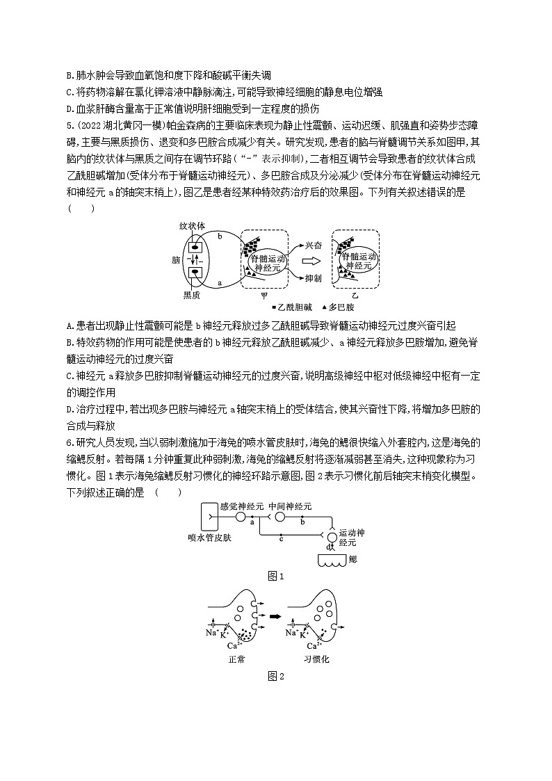 2022_2023学年新教材高中生物新人教版选择性必修1第2章神经调节章末测评卷第2页