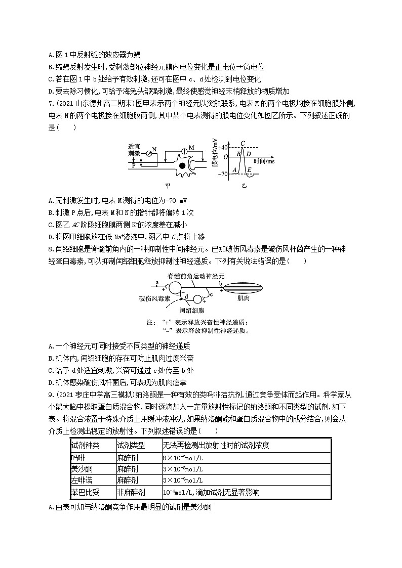 2022_2023学年新教材高中生物新人教版选择性必修1第2章神经调节章末测评卷第3页