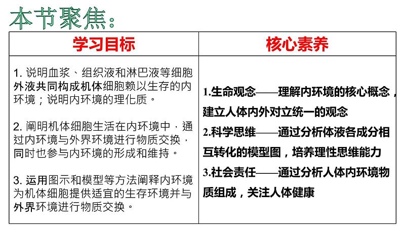 2021-2022学年高二上学期生物人教版（2019）选择性必修一.1.1细胞生活的环1境课件第4页