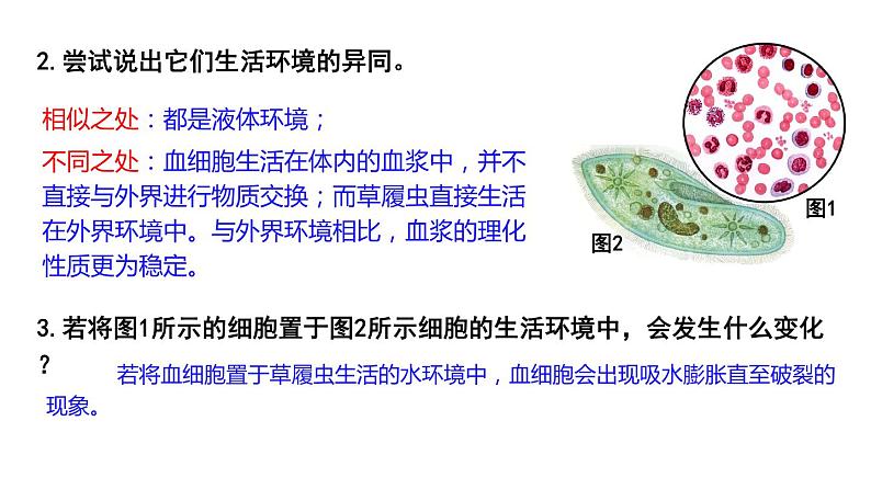 2021-2022学年高二上学期生物人教版（2019）选择性必修一.1.1细胞生活的环1境课件第6页