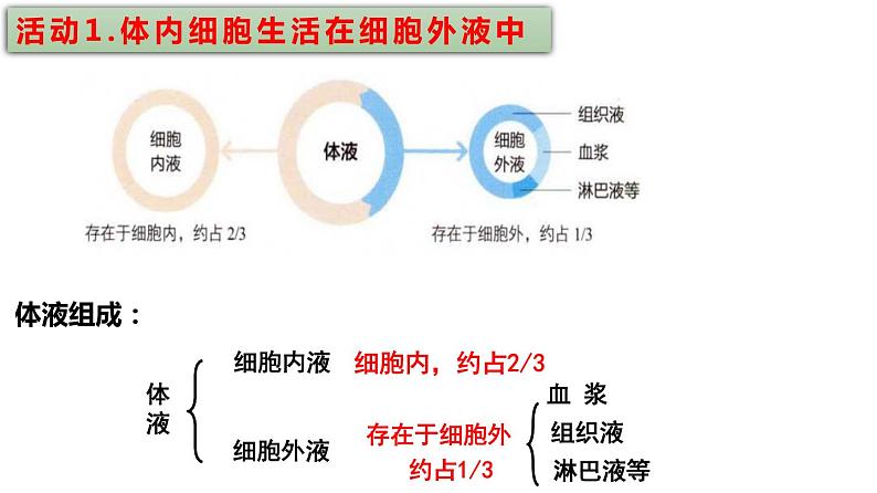 2021-2022学年高二上学期生物人教版（2019）选择性必修一.1.1细胞生活的环1境课件第8页