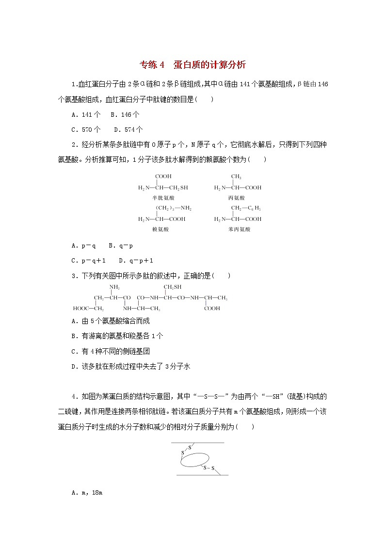 2023版高考生物第一部分专题练专练4蛋白质的计算分析第1页