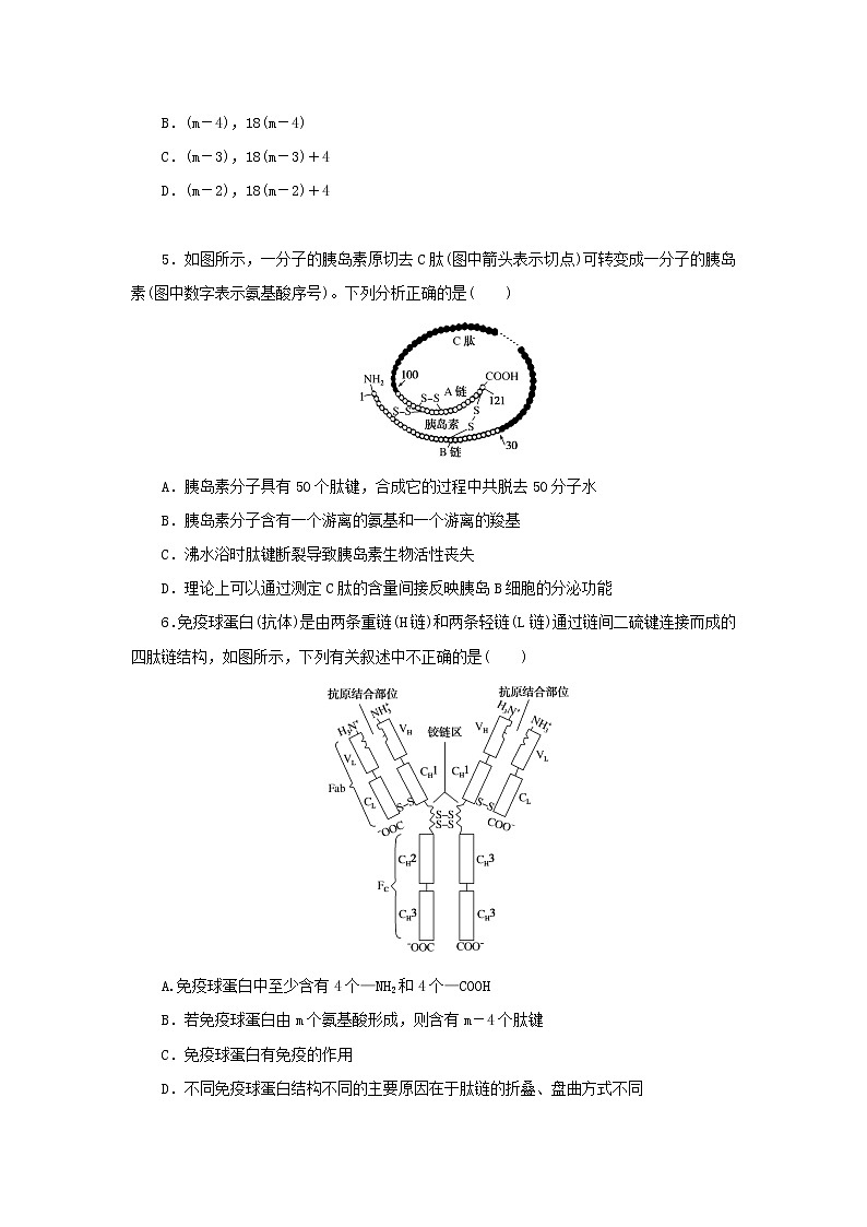 2023版高考生物第一部分专题练专练4蛋白质的计算分析第2页