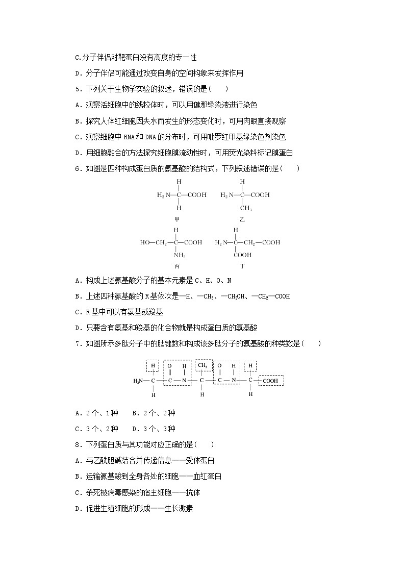 2023版高考生物第一部分专题练专练3生命活动的主要承担者__蛋白质第2页