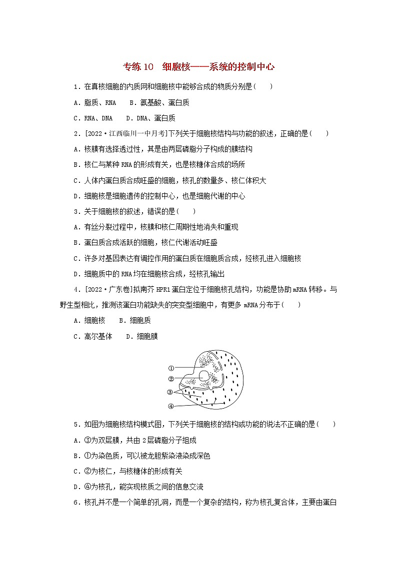2023版高考生物第一部分专题练专练10细胞核__系统的控制中心第1页
