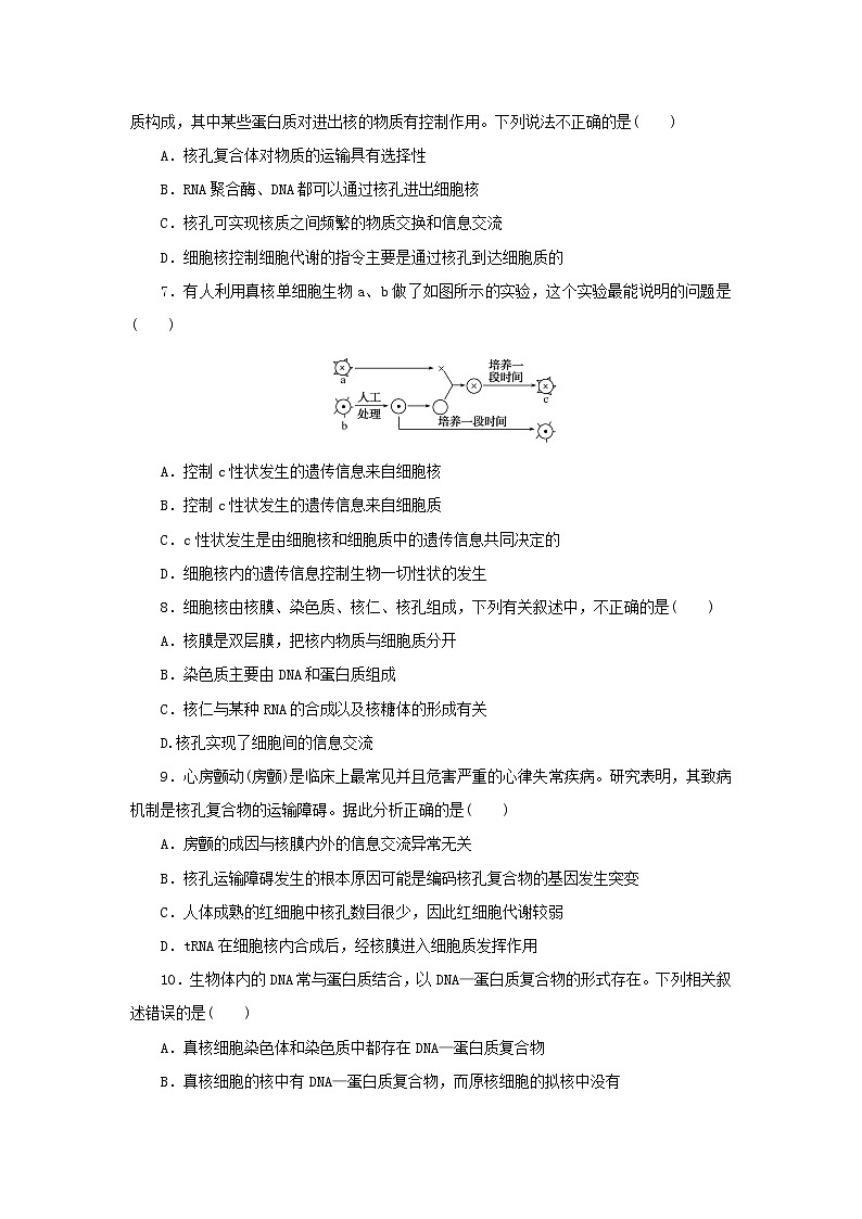 2023版高考生物第一部分专题练专练10细胞核__系统的控制中心第2页