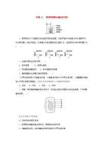 2023版高考生物第一部分专题练专练11物质跨膜运输的实例