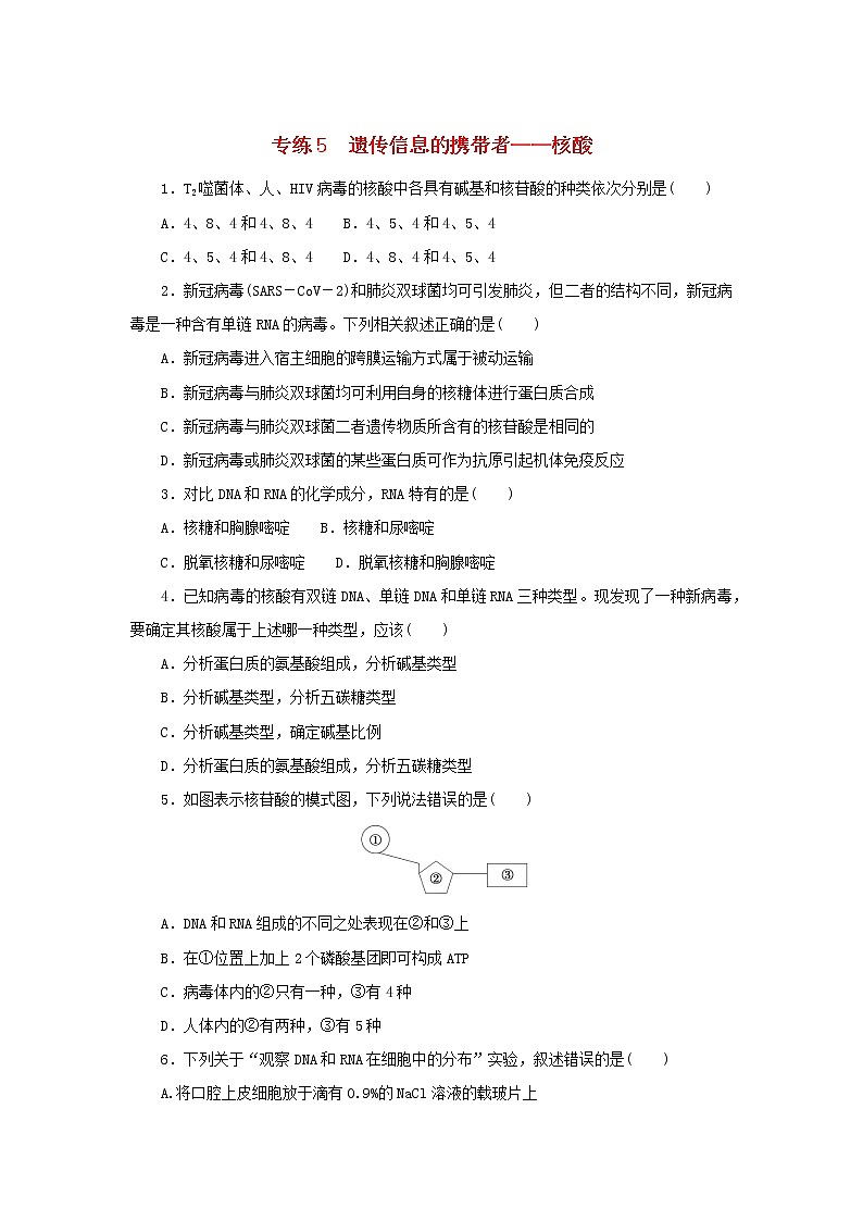 2023版高考生物第一部分专题练专练5遗传信息的携带者__核酸第1页