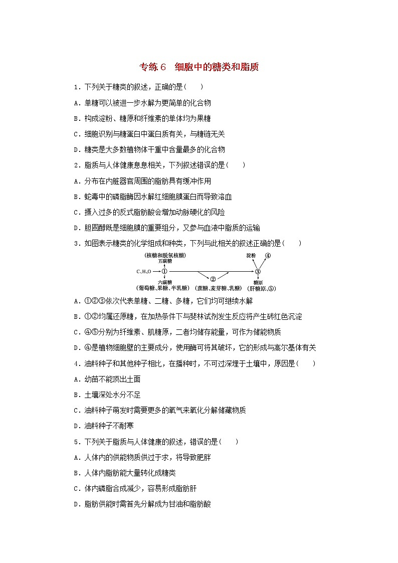 2023版高考生物第一部分专题练专练6细胞中的糖类和脂质第1页