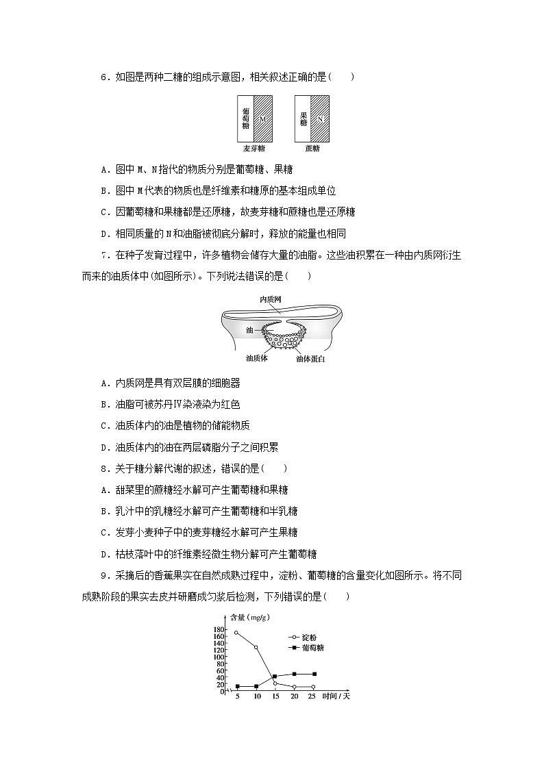 2023版高考生物第一部分专题练专练6细胞中的糖类和脂质第2页