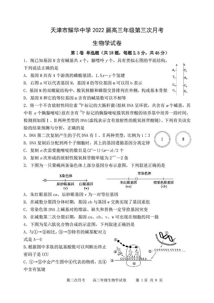 天津市耀华中学2022届高三学期第三次月考生物试题第1页