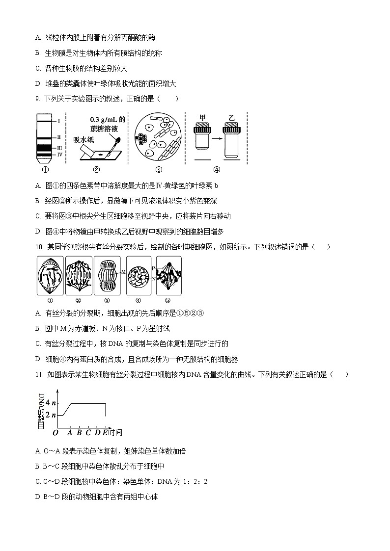 天津市耀华中学2021-2022学年高一上学期期末练习生物试题第2页