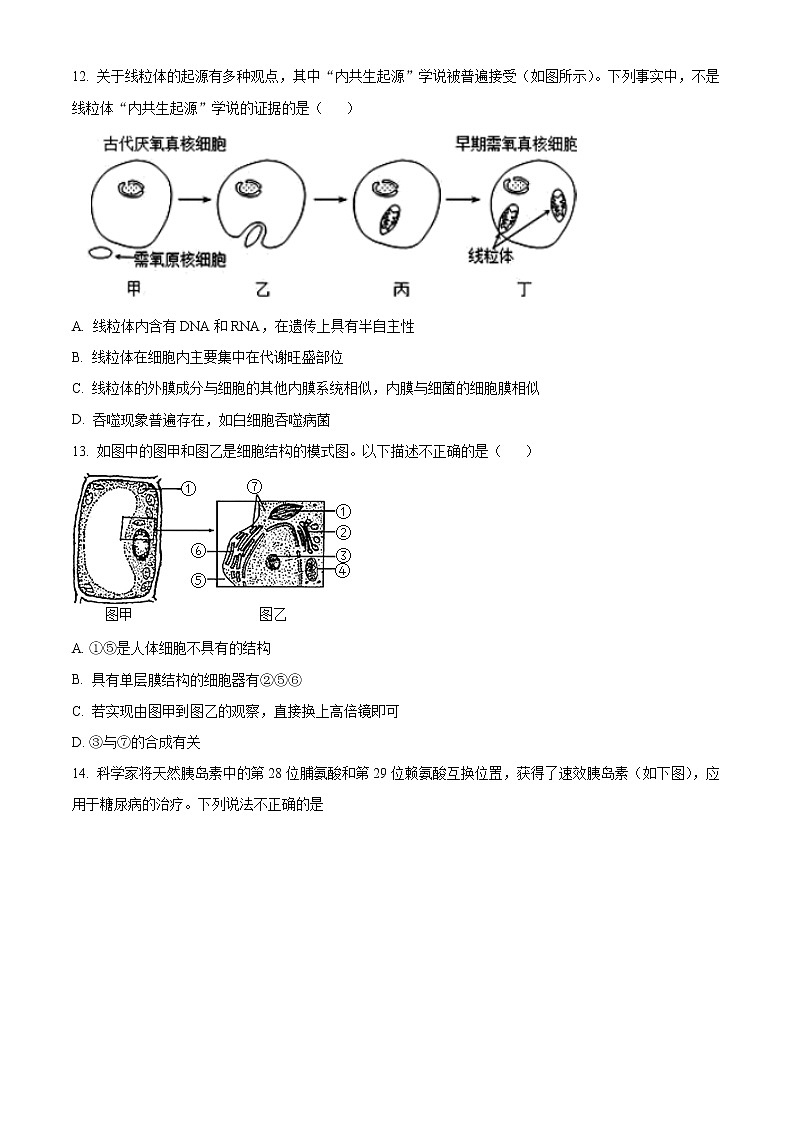 天津市耀华中学2021-2022学年高一上学期期末练习生物试题第3页