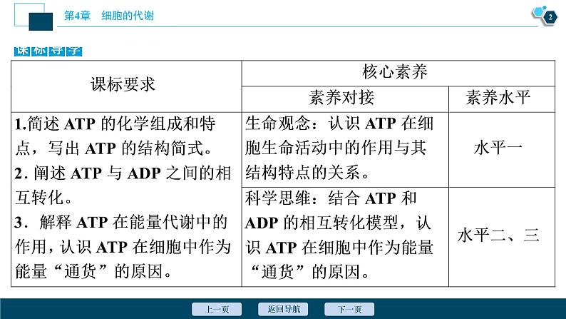 高中生物新北师大版必修1  ATP 课件（63张)03