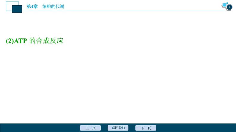 高中生物新北师大版必修1  ATP 课件（63张)08