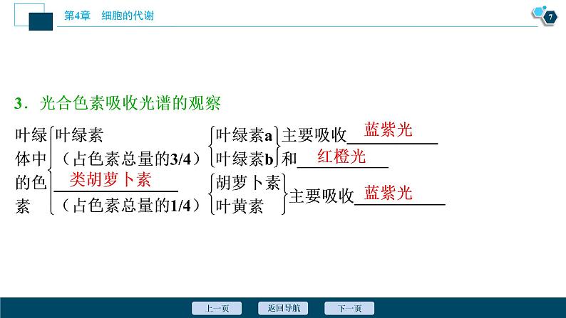 高中生物新北师大版必修1  光反应 课件（75张)08