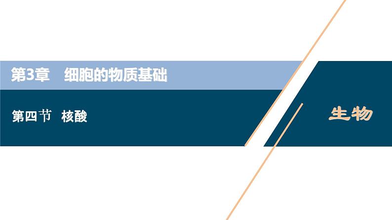 高中生物新北师大版必修1  核酸 课件（73张)01