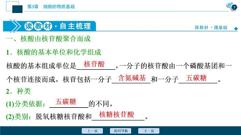 高中生物新北师大版必修1  核酸 课件（73张)04