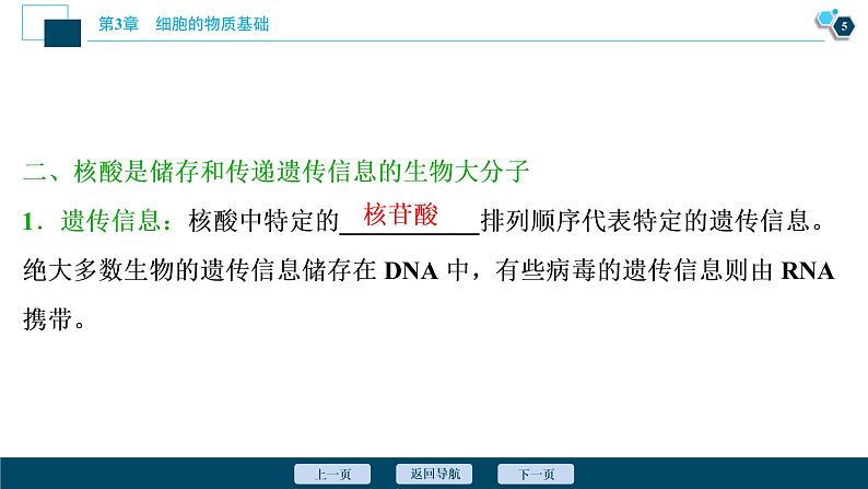 高中生物新北师大版必修1  核酸 课件（73张)06