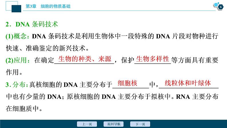 高中生物新北师大版必修1  核酸 课件（73张)07