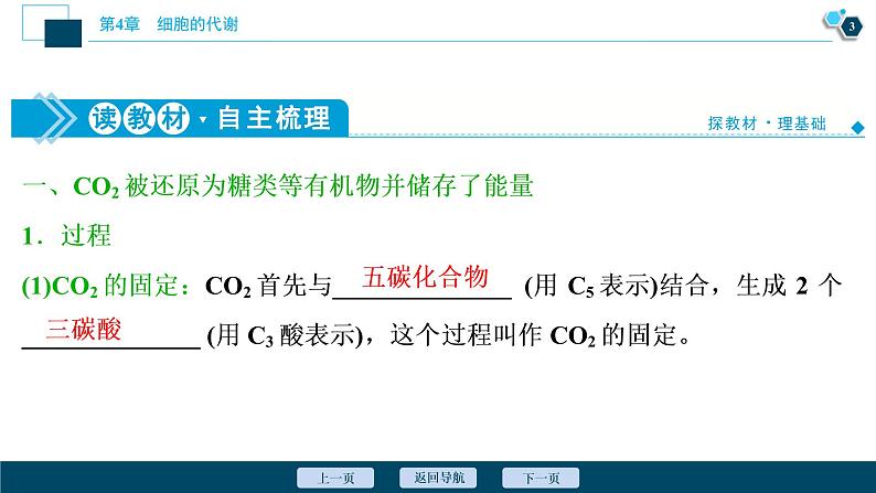 高中生物新北师大版必修1  碳反应 课件（65张)04