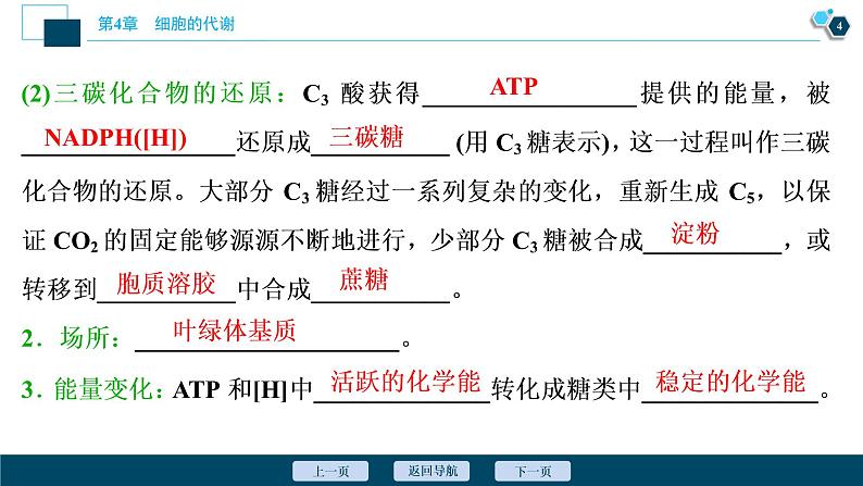 高中生物新北师大版必修1  碳反应 课件（65张)05