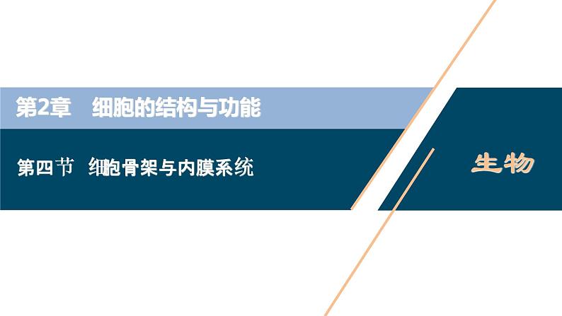 高中生物新北师大版必修1  细胞骨架与内膜系统 课件（63张)01