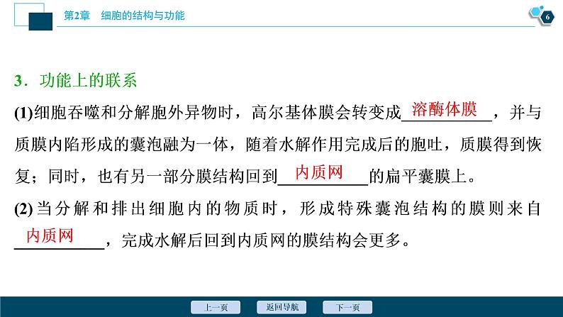 高中生物新北师大版必修1  细胞骨架与内膜系统 课件（63张)07