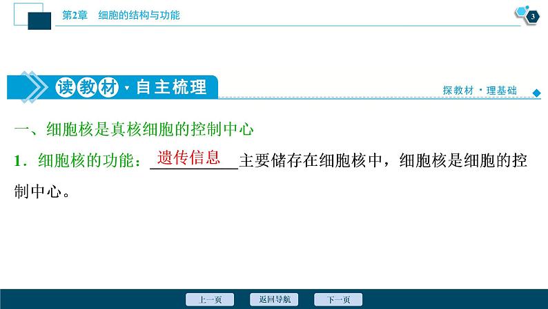 高中生物新北师大版必修1  细胞核 课件（81张)04