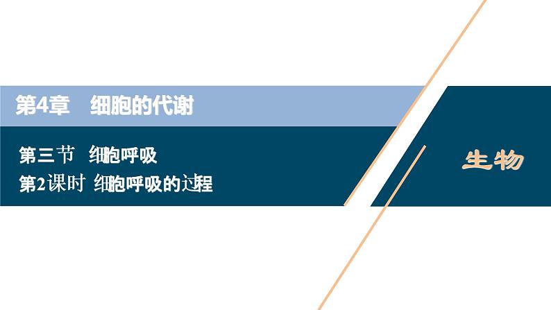 高中生物新北师大版必修1  细胞呼吸的过程 课件（77张)第1页