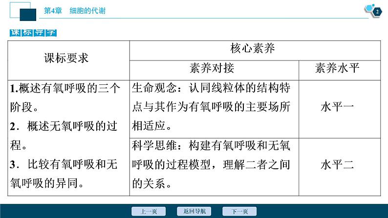 高中生物新北师大版必修1  细胞呼吸的过程 课件（77张)第3页