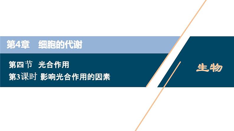 高中生物新北师大版必修1  影响光合作用的因素 课件（84张)01