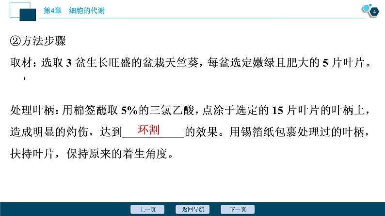 高中生物新北师大版必修1  影响光合作用的因素 课件（84张)05