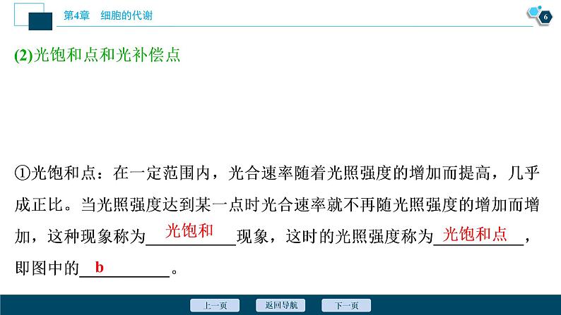 高中生物新北师大版必修1  影响光合作用的因素 课件（84张)07