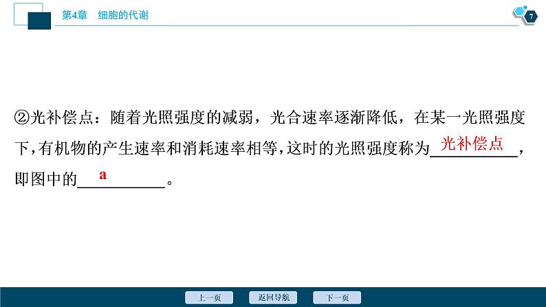 高中生物新北师大版必修1  影响光合作用的因素 课件（84张)08