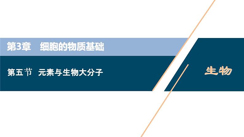 高中生物新北师大版必修1  元素与生物大分子 课件（65张)第1页